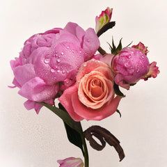 Scent Layering Trio C1